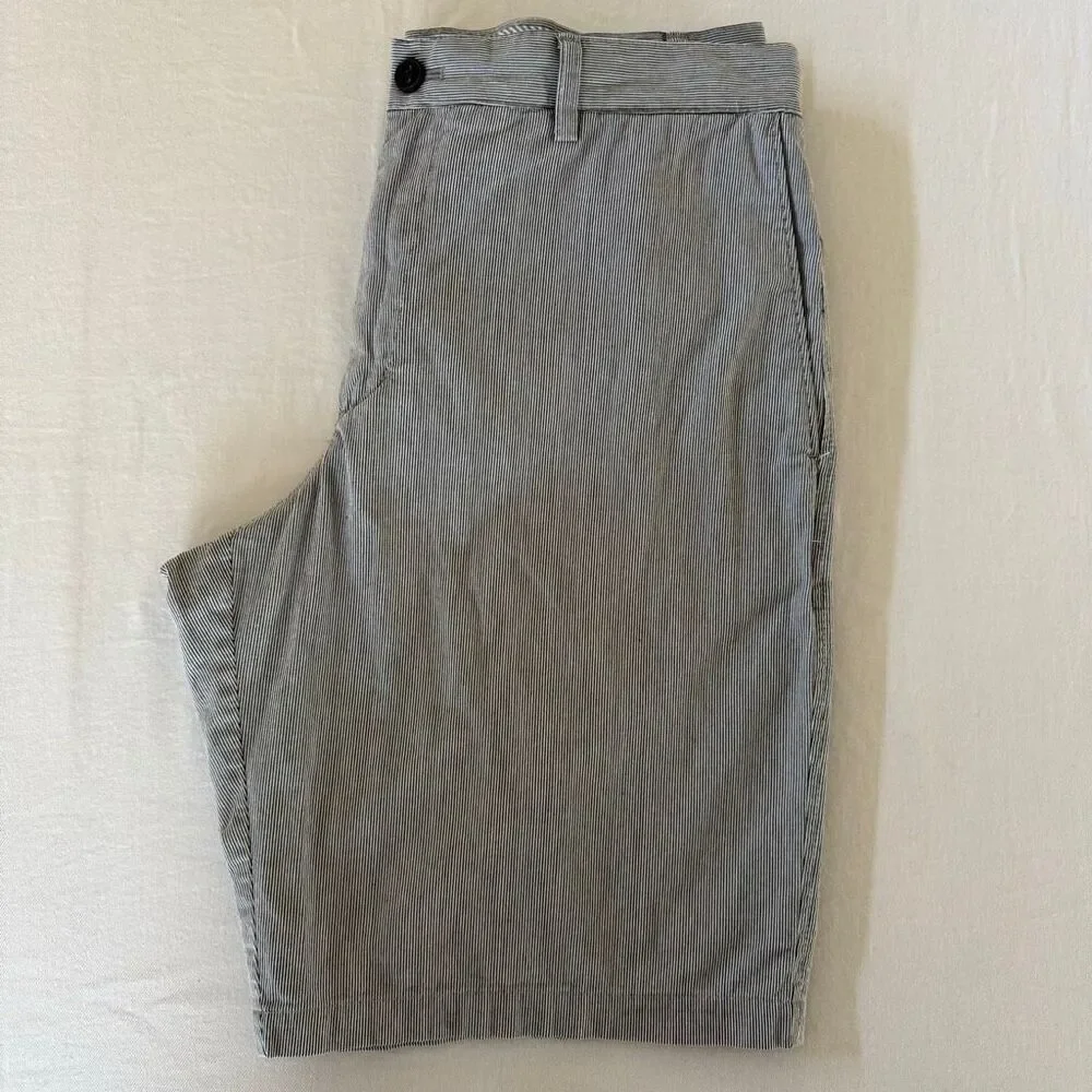 Banana Republic Striped Shorts | Mens 34 | Blue White Stripes | Cotton Flat Fron